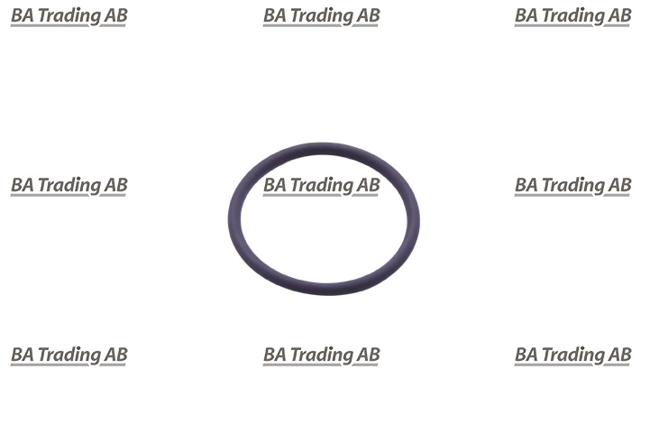 O-RING